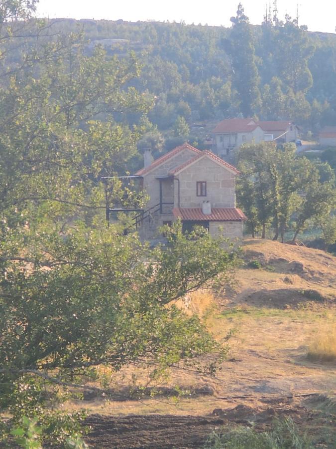 Lagares da Beira Quinta Da Adarnela 아파트 외부 사진