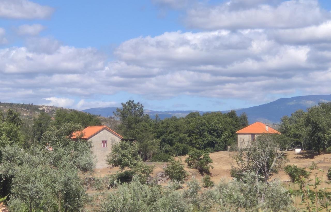Lagares da Beira Quinta Da Adarnela 아파트 외부 사진