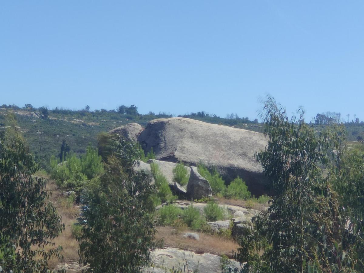 Lagares da Beira Quinta Da Adarnela 아파트 외부 사진