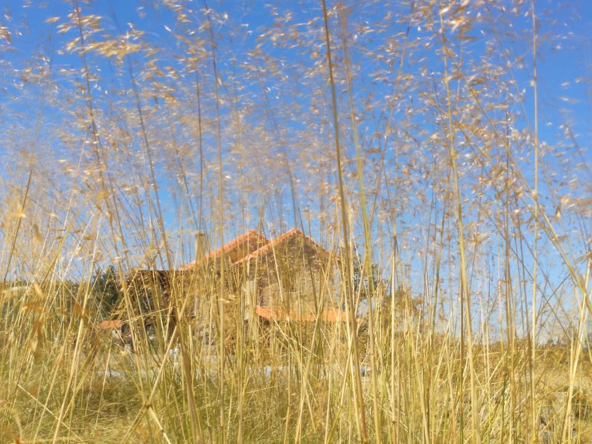 Lagares da Beira Quinta Da Adarnela 아파트 외부 사진