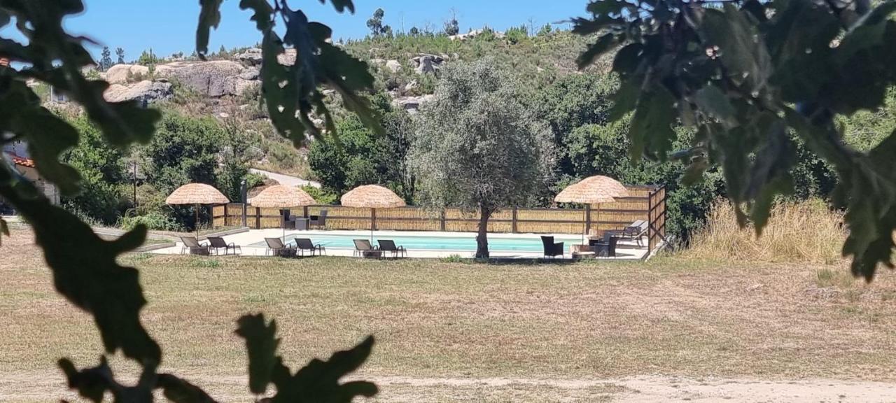 Lagares da Beira Quinta Da Adarnela 아파트 외부 사진