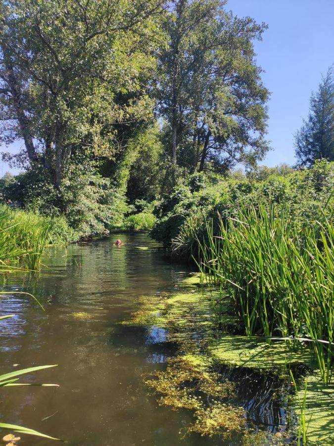Lagares da Beira Quinta Da Adarnela 아파트 외부 사진
