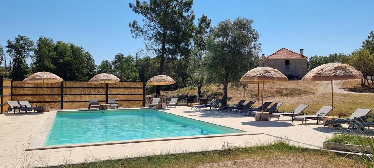 Lagares da Beira Quinta Da Adarnela 아파트 외부 사진