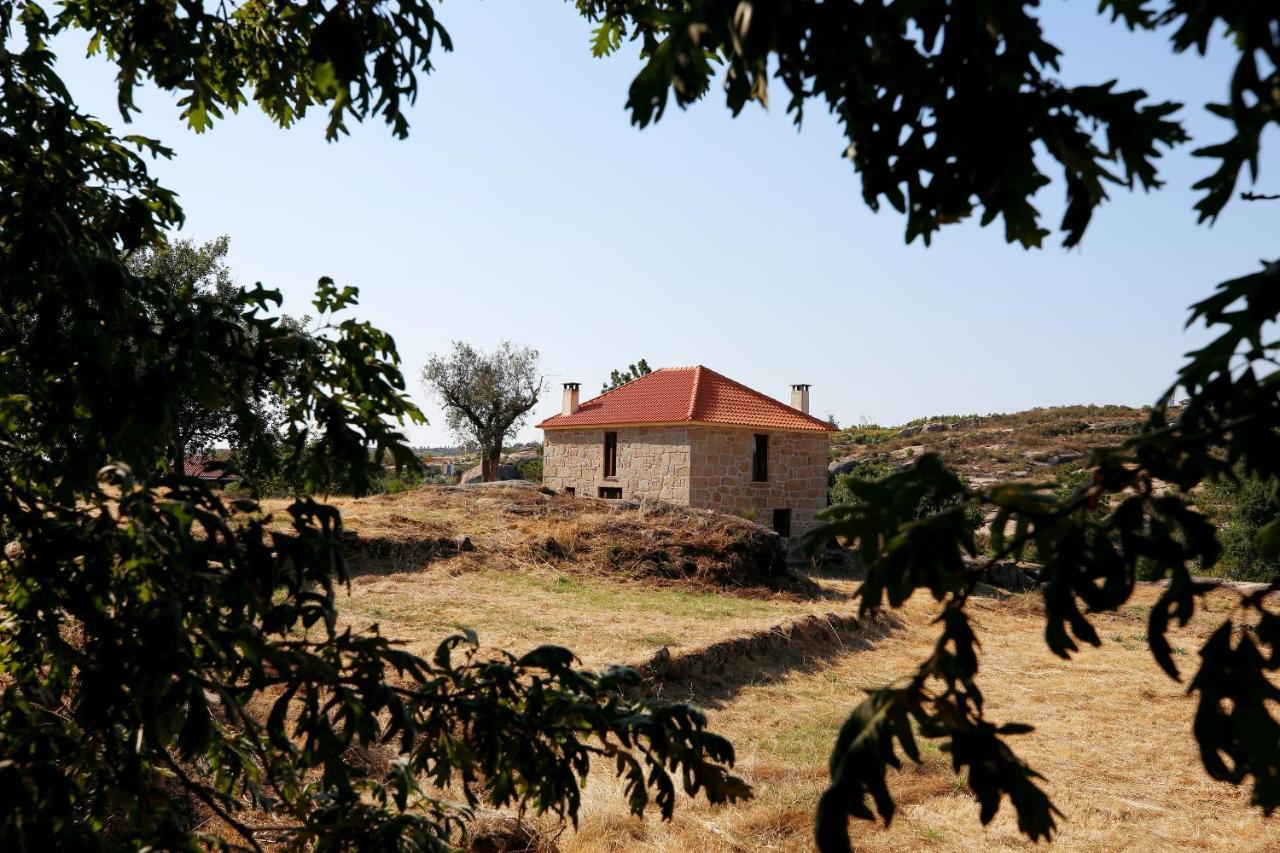 Lagares da Beira Quinta Da Adarnela 아파트 외부 사진